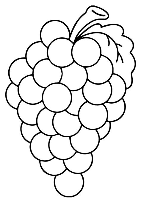 grapes coloring pages books    printable
