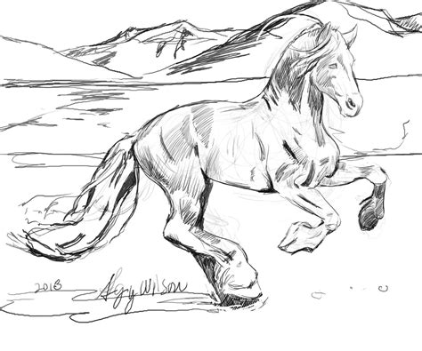 wild horse  coloring pages clip art library
