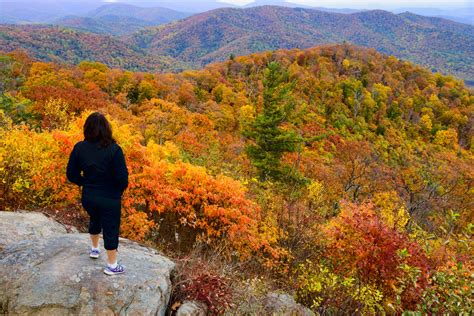 vote shenandoah valley  destination  fall foliage nominee   readers
