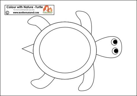 animal templates turtle outline turtle crafts
