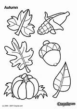 Herbst Ausmalbilder Thanksgiving Ausmalen Sheets Crayola Ausdrucken Herunterladen Malvorlagen Corn sketch template