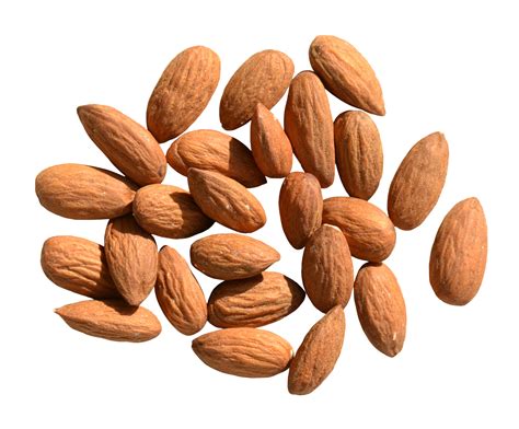 almond png hd png mart