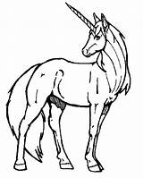 Licorne Mignonne Bestof Facile Getdrawings Colorier Unicorns Dessins Bestappsforkids Clipartmag Tete sketch template