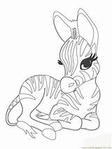 Coloring Pages Animals Color Adorable Difficult Clipart Printable Cute Baby Animal Clipground Zebra sketch template