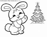 Bunny Coloring Pages Christmas Color Printable Drawing Wheeler Stocking Clipart Timeless Miracle Getdrawings Getcolorings Print sketch template