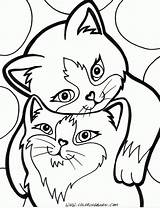 Coloring Calico Cat Pages Getcolorings Color Printable sketch template