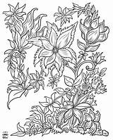 Coloring Floral Pages Adults Adult Flowers Garden Book Fantasy Printable Color Digital Getdrawings Getcolorings Print sketch template