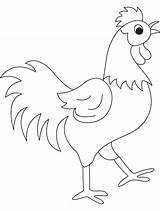 Rooster Coloring Pages Cock Kids Dick Drawing Beautyful Year Color Printable Clip Clipart Print Getdrawings Library Pic Getcolorings Popular Colorings sketch template