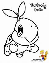 Turtwig sketch template