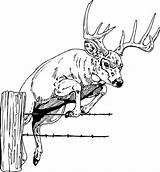 Elk Bugling sketch template