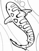 Shark Whale Coloring Pages Nurse Blue Color Printable Getcolorings Unique Now Getdrawings Colorings Revolutionary sketch template