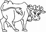 Pages Coloring Cow Baby sketch template