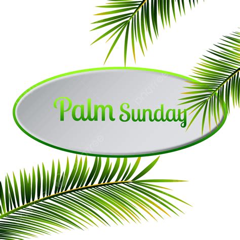 christian cross palm sunday event  illustration  transparent