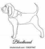 Bloodhound Dog Vector Outline Illustration Shutterstock Stock sketch template