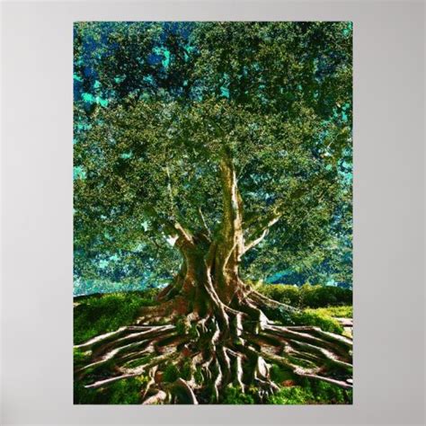 tree  life posters tree  life prints art prints poster designs