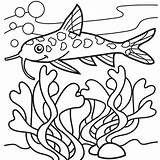 Seaweed Getcolorings Catfish sketch template