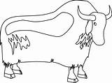 Yak Oxen Pluspng Clker sketch template