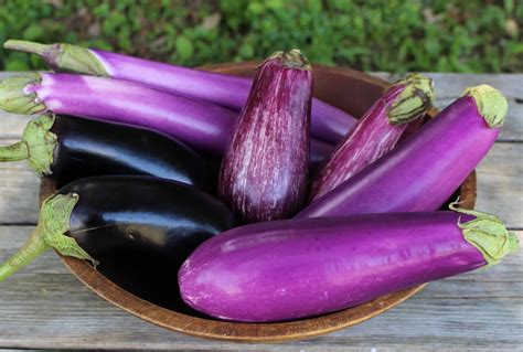 harmony valley farm vegetable feature eggplant