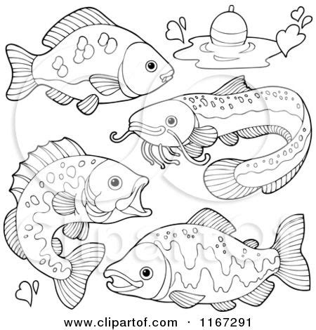 freshwater fish coloring pages coloring pages