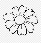 Bunga Mewarnai Daisy Common Kelopak Umum Taman Dewasa sketch template