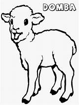 Domba Mewarnai Untuk Hewan Binatang Kambing Gbr Anakcemerlang Kunjungi Diwarnai Doodle sketch template