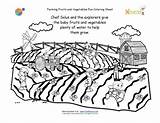 Coloring Crops Printable Pages Farm Kids Vegetables Grow Growing Farming Sheet Fruits Water Need Nutrition Plants Food Farmers Activities Garden sketch template