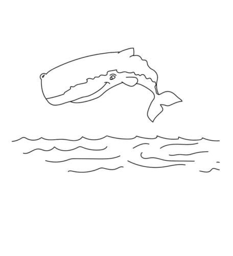 whale coloring pages printable