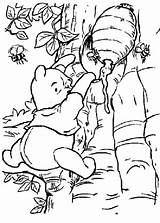 Honig Puuh Nimmt Pooh Winnie Kategorien sketch template