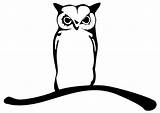 Coloring Owl Branch Hantu Burung Tribal Tato Large Edupics Clipartkey sketch template