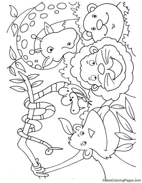 jungle animals coloring page animal coloring pages zoo animal