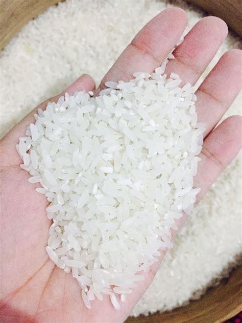 jenis beras lokal indonesia mulai  punel hingga pera