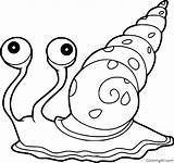 Escargot Mer Snail Jolie Coquille Coloringall sketch template