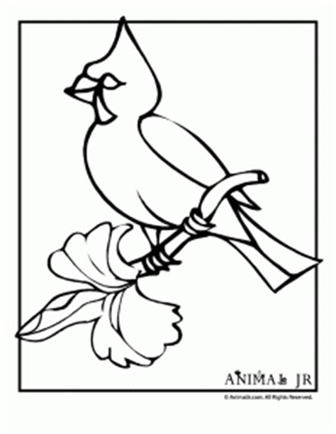 winter activities printables coloring pages  kids crafts
