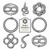 Ouroboros Symbol Illustrations Snake Vector Stock Vintage Style sketch template