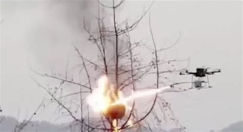 flamethrower drone sets wasp nests  fire  villagers stung  death  china daily star