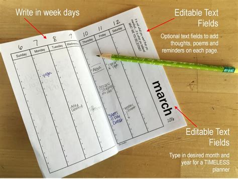 printable weekly pocket planner  file  month editable etsy