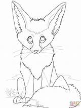 Fox Coloring Pages Cute Fennec Baby Realistic Drawing Color Printable Clipart Online Anime Designlooter Grey Getdrawings Library Popular Template Supercoloring sketch template