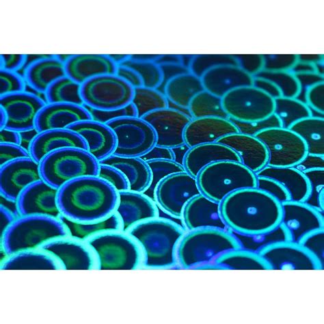 photo paper iridescent construction paper paper      laminated poster  bright