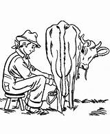 Milking Cow Colorluna sketch template
