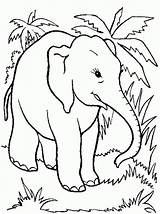 Elephant Coloring Pages Printable Kids Color Jungle Animal Cartoon Elephants Sheets Colouring Print Worksheets Latest Getcolorings Tattoo sketch template