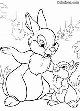 Disney Bunnies Conejos Colorions Coloriages Impressions Tambor sketch template