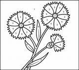 Cornflower sketch template