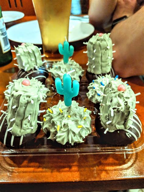succulent cakes   birthday rsucculents