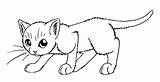 Lineart Shadowclan Kucing Tortie Koleksi Comel Mewarna Webtech360 Warriorcats Erfindung sketch template