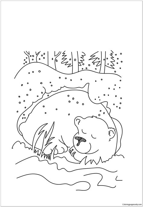 bear hibernating coloring page  printable coloring pages