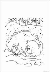 Bear Pages Hibernation Hibernating Coloring Color Template Online Printable sketch template