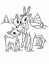 Coloring Reindeer Pages Rudolph Clarice Santa Family Elephant Antlers Girl Printable Proud Getcolorings Getdrawings Drawing Popular Color Print Colorings sketch template