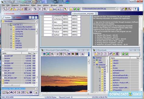file viewer  windows  latest version