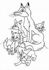 Raposa Fuchs Ausmalbilder Tulamama Colorir Families sketch template