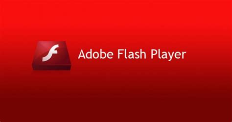 adobe flash player offline installer latest website